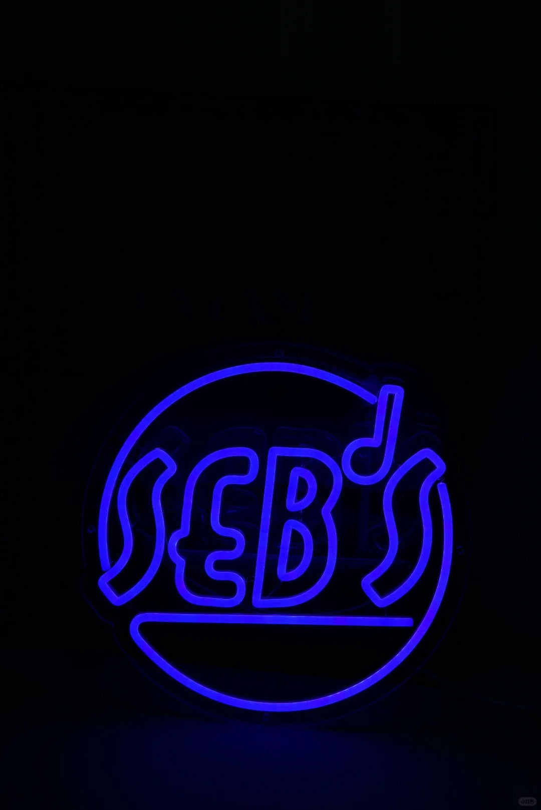 SEB'S Neon Sign Handmade Neon Sign Custom Neon Sign LED Light