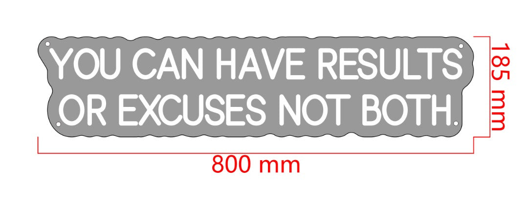 You can have results or excuses not both